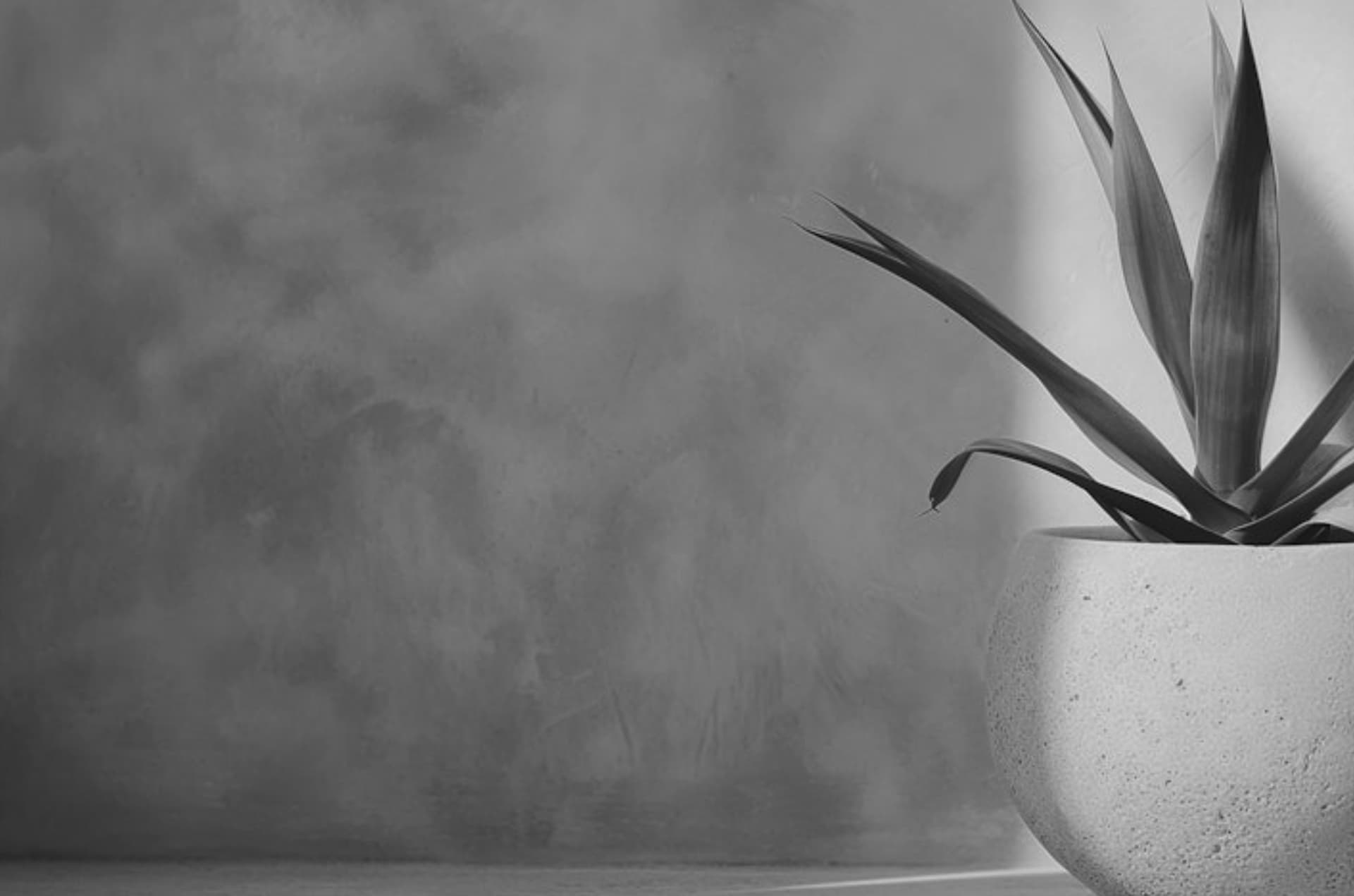 Stone tiles background